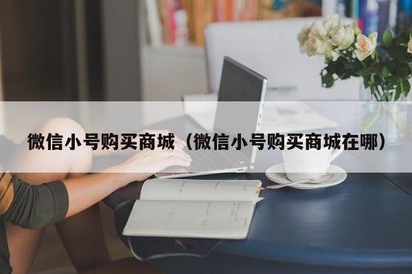 微信小号购买商城（微信小号购买商城在哪）