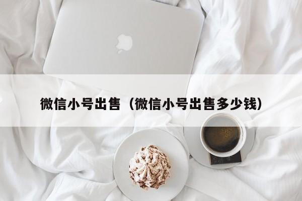 微信小号出售（微信小号出售多少钱）