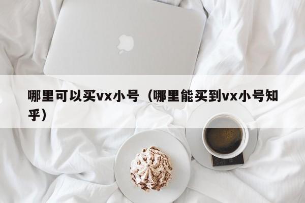 哪里可以买vx小号（哪里能买到vx小号知乎）