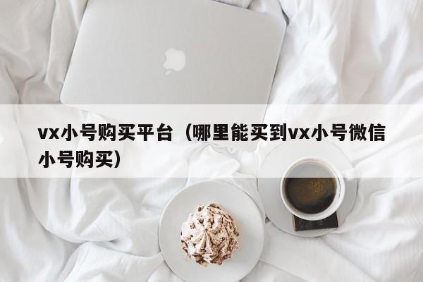 vx小号购买平台（哪里能买到vx小号微信小号购买）