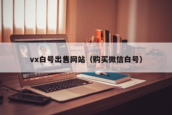 vx白号出售网站（购买微信白号）
