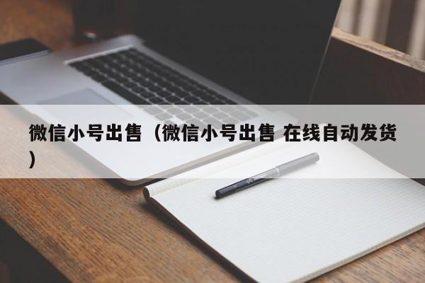 微信小号出售（微信小号出售 在线自动发货）