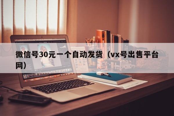 微信号30元一个自动发货（vx号出售平台网）