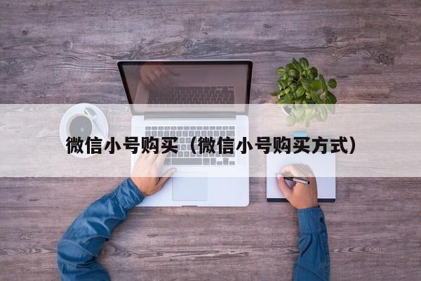 微信小号购买（微信小号购买方式）