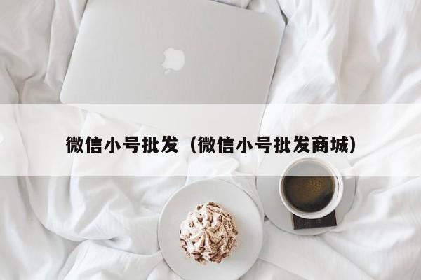 微信小号批发（微信小号批发商城）