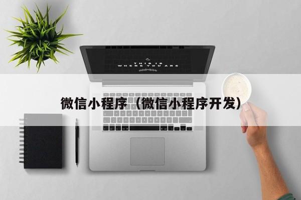 微信小程序（微信小程序开发）