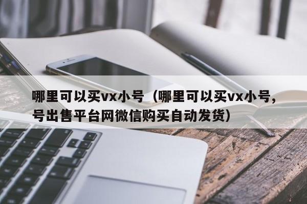 哪里可以买vx小号（哪里可以买vx小号,号出售平台网微信购买自动发货）