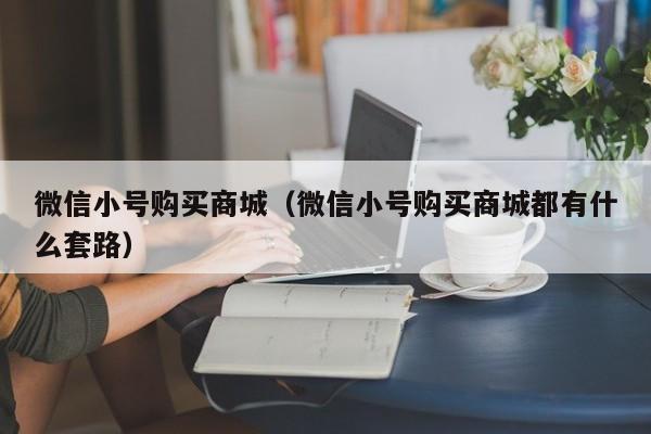微信小号购买商城（微信小号购买商城都有什么套路）