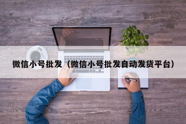 微信小号批发（微信小号批发自动发货平台）
