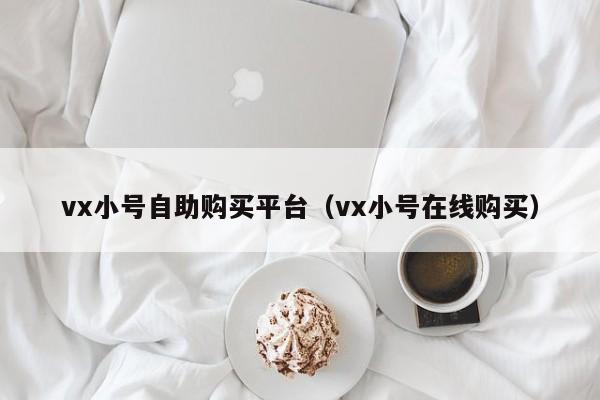 vx小号自助购买平台（vx小号在线购买）