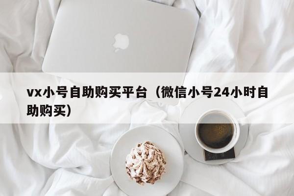 vx小号自助购买平台（微信小号24小时自助购买）