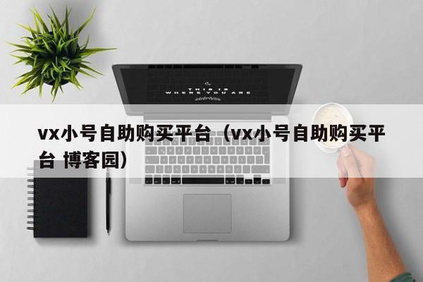 vx小号自助购买平台（vx小号自助购买平台 博客园）