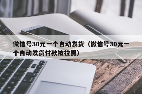 微信号30元一个自动发货（微信号30元一个自动发货付款被拉黑）
