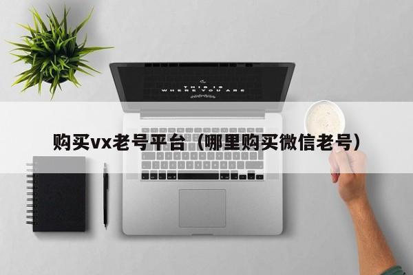 购买vx老号平台（哪里购买微信老号）