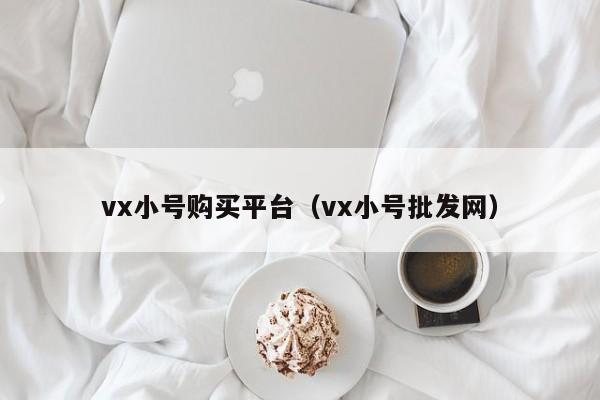vx小号购买平台（vx小号批发网）