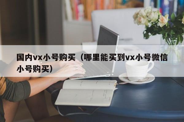 国内vx小号购买（哪里能买到vx小号微信小号购买）
