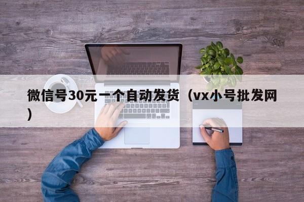 微信号30元一个自动发货（vx小号批发网）