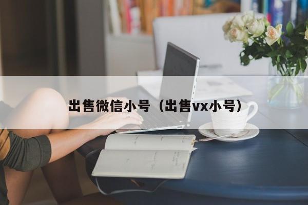 出售微信小号（出售vx小号）